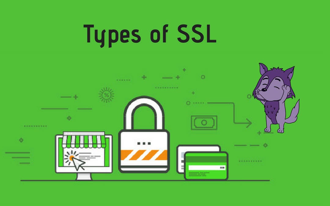 Types of SSL